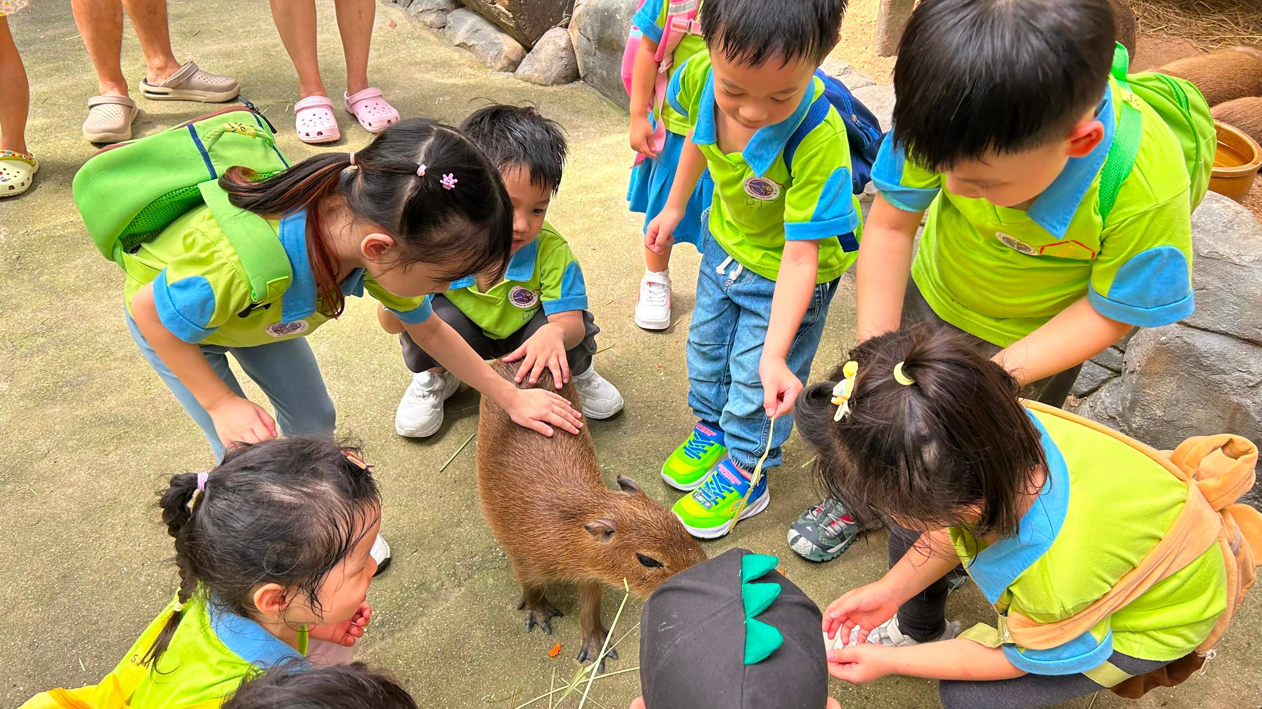 A Dloving farm-animal thematic learning activity