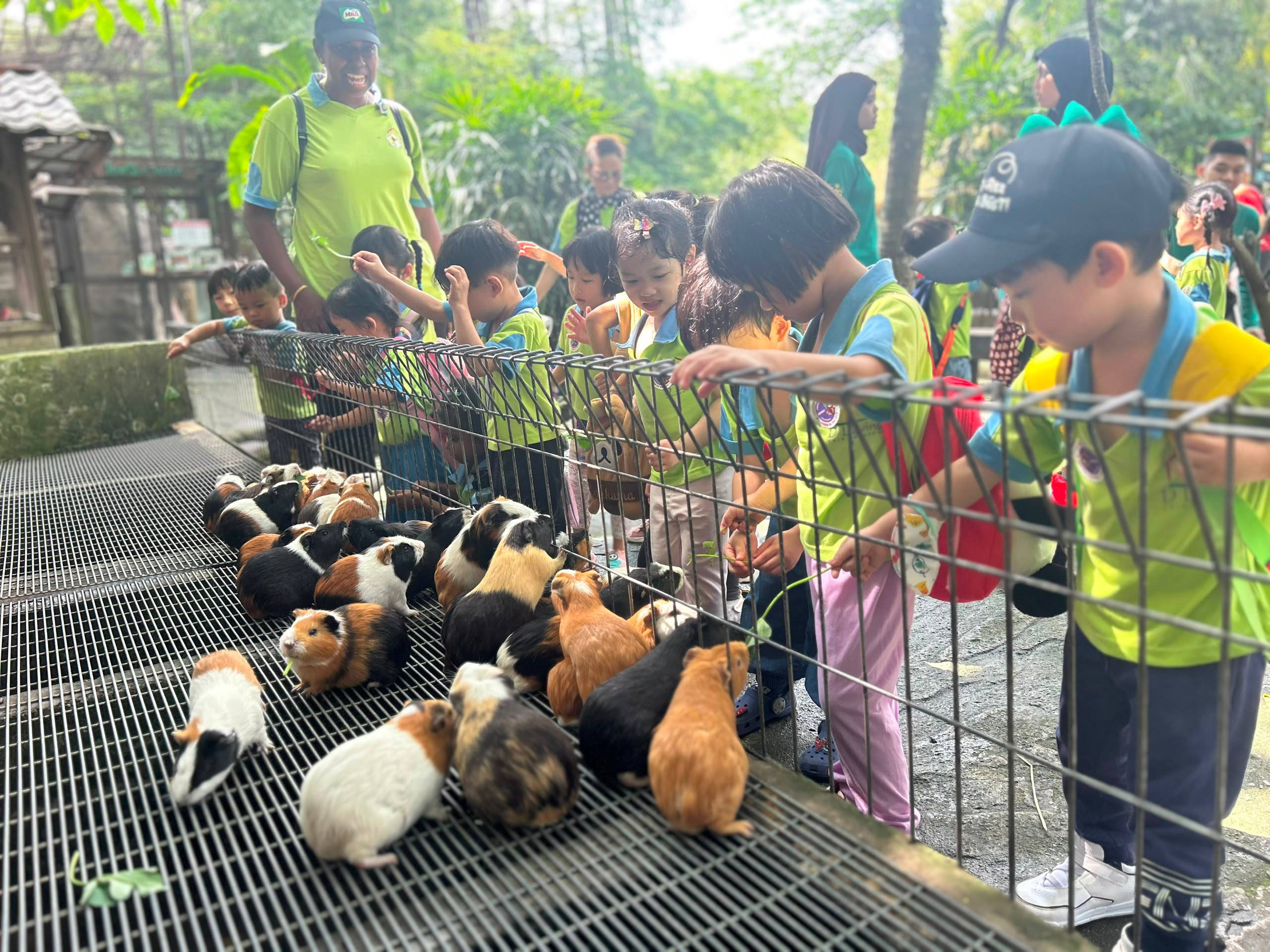 A Dloving farm-animal thematic learning activity