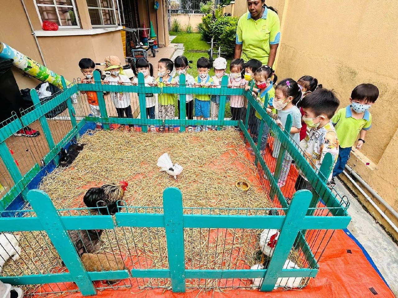 Children observing rabbits and birds together in a supervised petting zoo enclosure