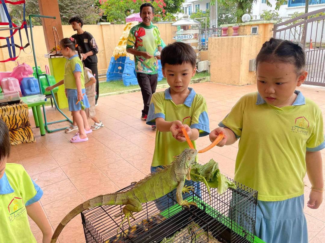 Children learning about an iguana during a supervised animal visit