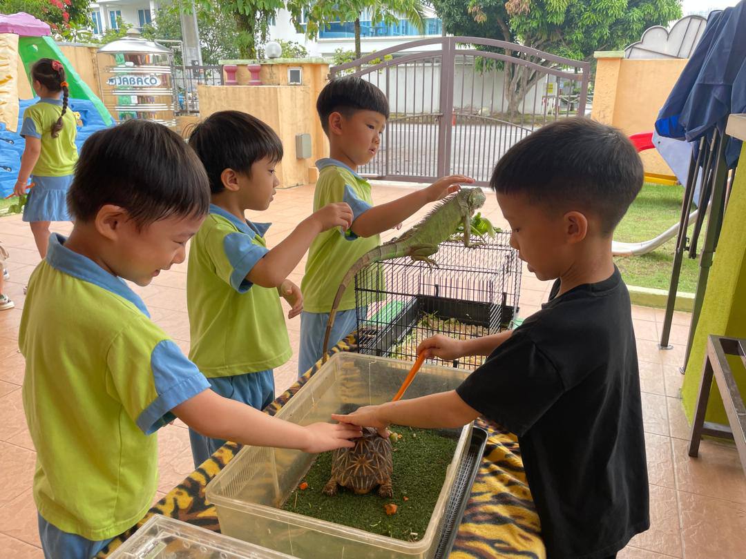 Children learning about an iguana during a supervised petting zoo visit