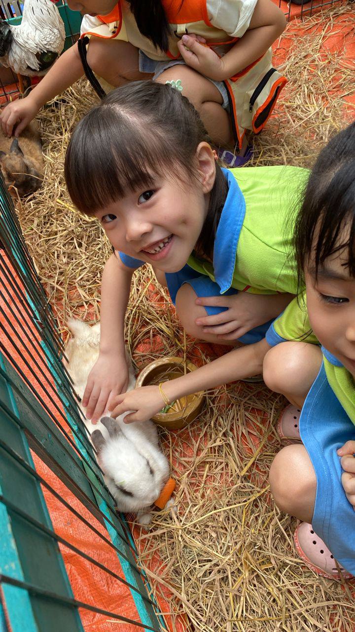 A child gently interacting with a rabbit during an animal visit