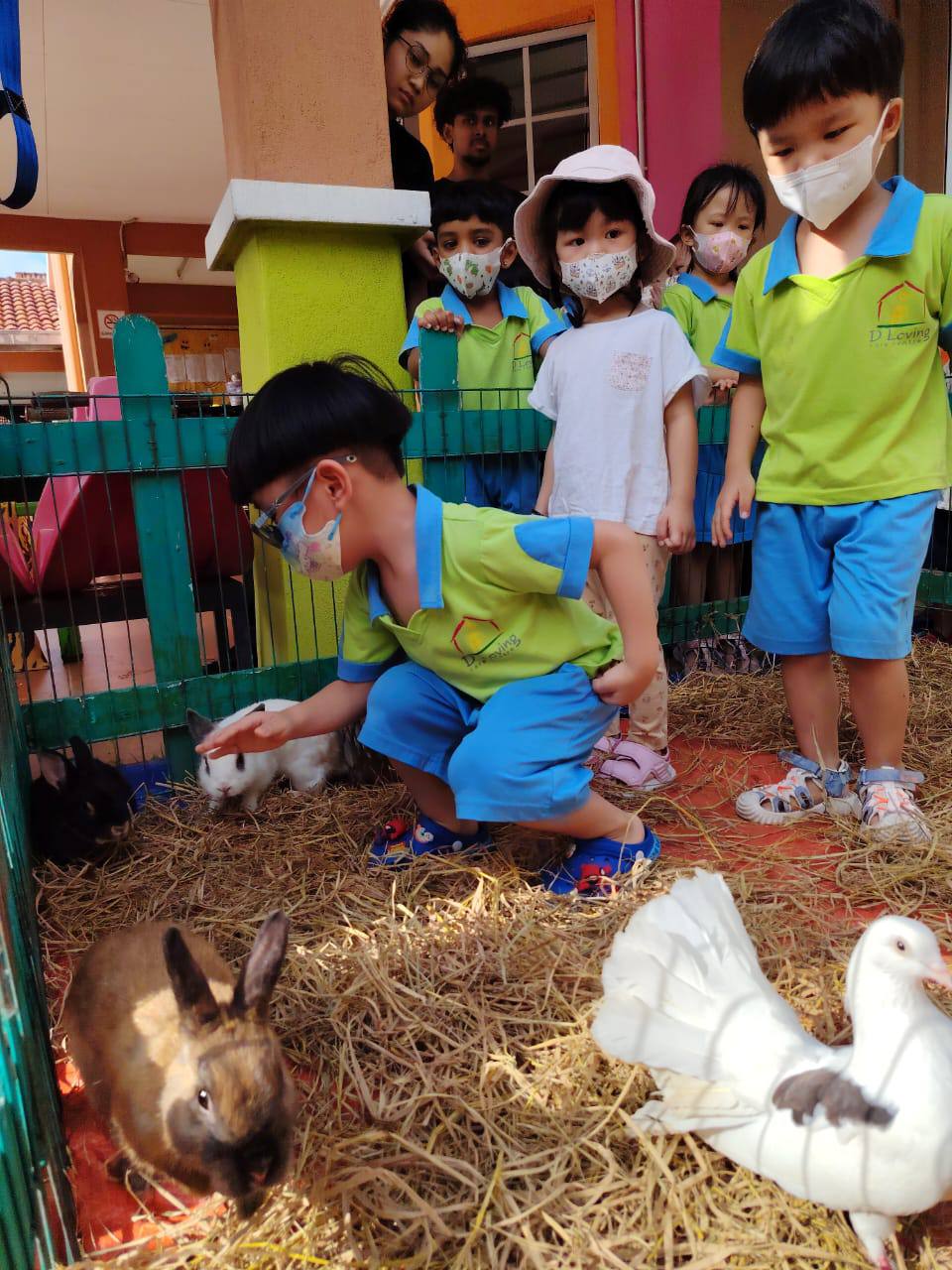 Children gently petting rabbits beside white doves during a supervised animal visit