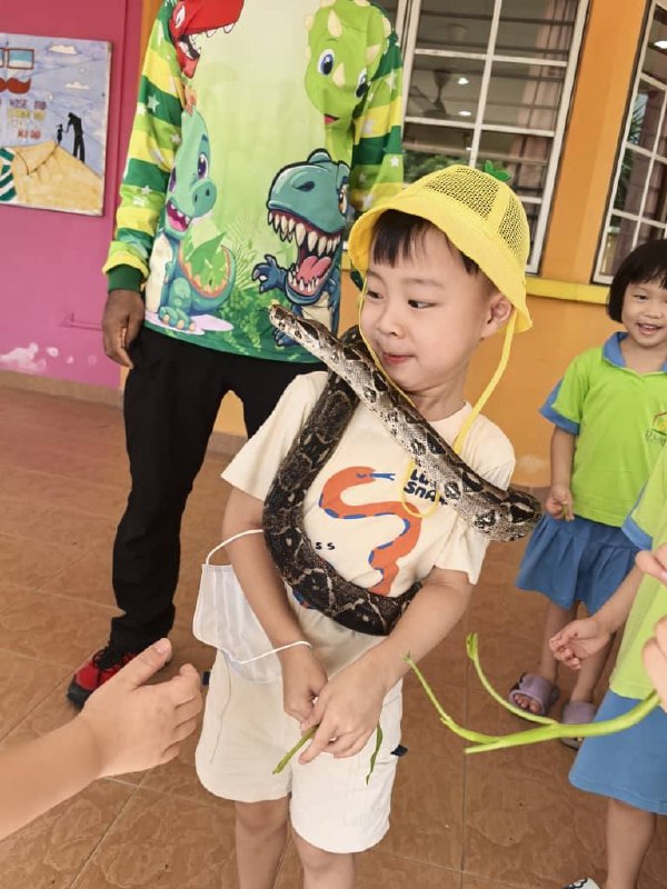 A child exploring safely during a supervised snake encounter